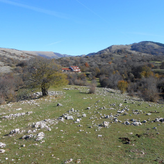 La locanda dell'orso