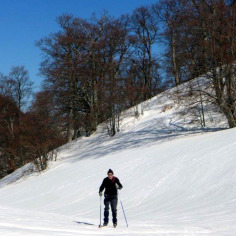 Nel pianoro