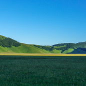 La piana di Castelluccio