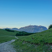 Il Redentore e il Vettore
