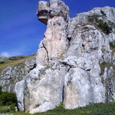 Creature preistoriche