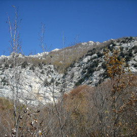 L’orma del dinosauro
