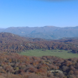 L’Anfiteatro Linceo