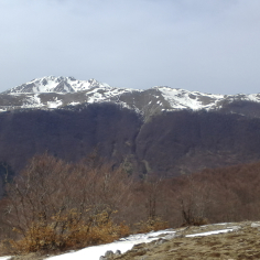 monte Marsicano