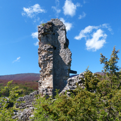 Torre