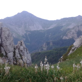 Leggende reatine
