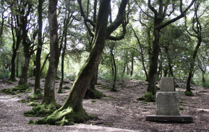 monteluco di spoleto