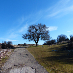 Sotto la cima