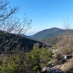 monte S.Pancrazio
