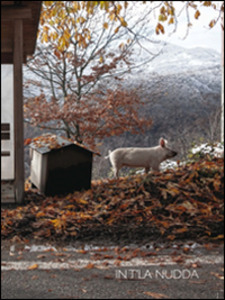 “In t’la nudda”. L’Appennino Reggiano si presenta